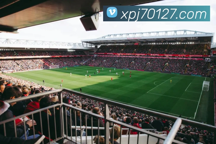 新葡京在线官网APP 高清赛事图